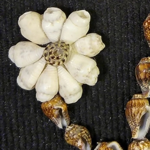 Franed Picture shell wall art 5x7inches - Picture 3 of 6